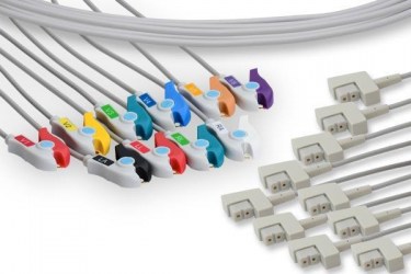 EKG1